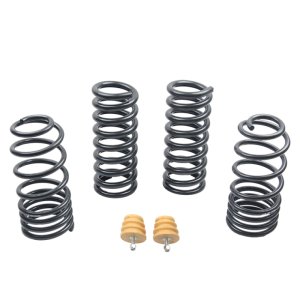 Ford Mustang Suspension Lowering Springs - ST Suspensions - Sport-tech - `94-`04